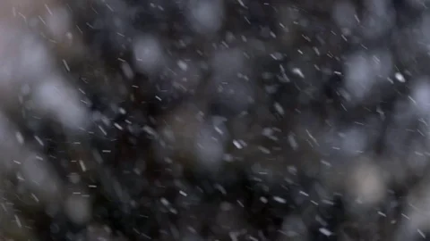 Close up view of snow falling in front of trees out of focus Stock Footage 72210218