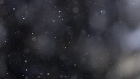 Close up view of snow falling in front of trees out of focus Stock Footage 72210248
