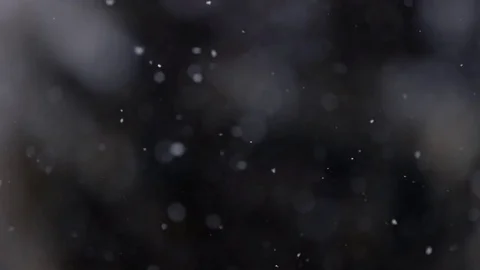 Close up view of snow falling in front of trees out of focus Stock Footage 72210274