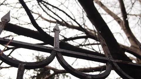 Close up view of snow falling in front of trees out of focus Video stock 77551157