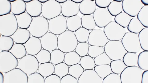 Close up View of Soap Bubbles Creating Abstract Geometric Pattern White  Video stock 300159799
