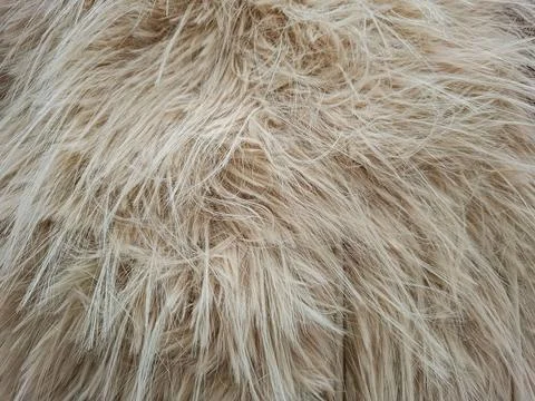 Close view of soft, long pile faux fur in light beige color suitable for co.. Foto stock