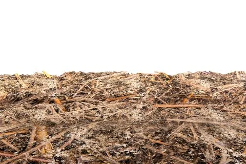 Close up view of soil ground texture Stock Photos