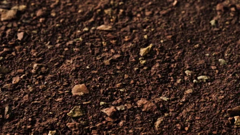 Close view of soil texture showing small rocks and dirt particles Stock Footage 341789051