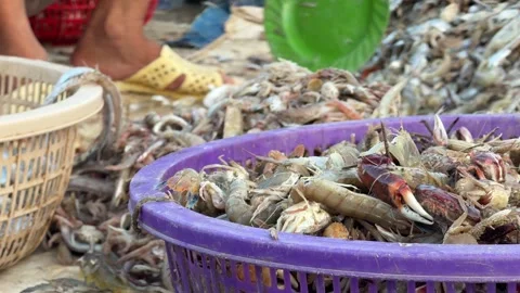Close view of sorted non target fish in baskets as hands continue working nearby Vídeo Stock 327074034