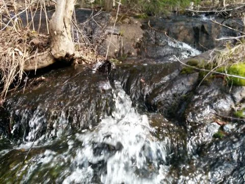 Close view of a spring in the mountains Stock Photos