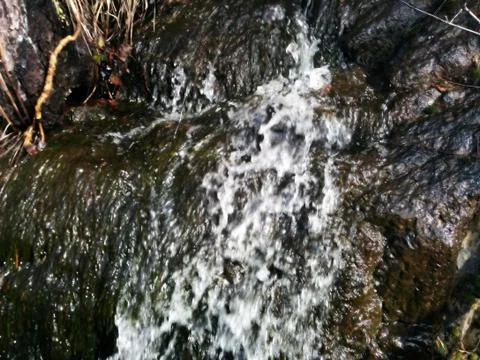 Close view of a spring in the mountains Stock Photos