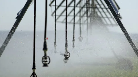 Close up view of sprinkler pivot at work, watering crop for more growth. Center Stock Footage 210396121