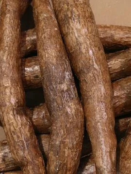 Close up view of stacked brown root vegetables with rough textured skins, t.. Stock-Fotos