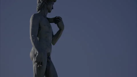 – close–up view of the statue of David Michelangelo. Stock Footage 300050777