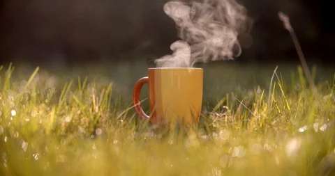 Close-up view of steaming cup in the grass Stock Footage 128324502