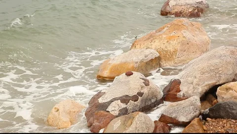 Close up view to the stone on the dead sea coast Stock Footage 2811791