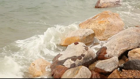 Close up view to the stone on the dead sea coast 動画素材 2820154