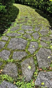Close-up view of a stone pathway winding through a garden Stock Photos