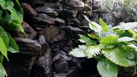 A close-up view of a stone waterfall in the Palmetum of Santa Cruz, Tenerife Stock Footage 279852733