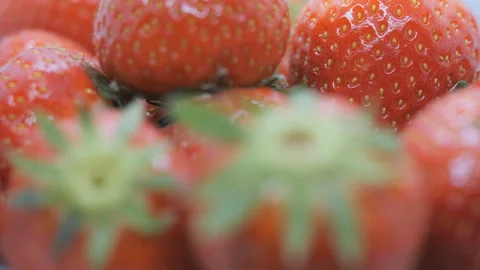A close up view of strawberries. Stock Footage 194485140