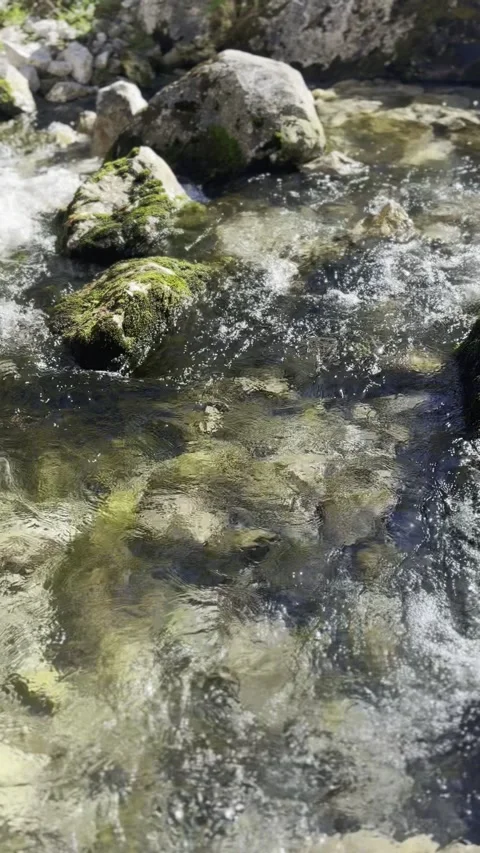 A close-up view of a stream in the forest, captured in a vertical video. Stock Footage 299102747