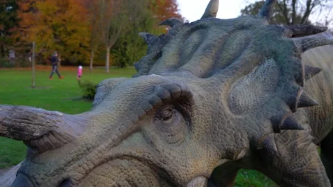 Close up view of Styracosaurus model Stock Footage 177313679