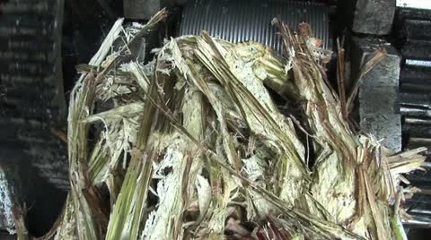 Close Up View of Sugar Cane Processing Machine 스톡 동영상 19058088