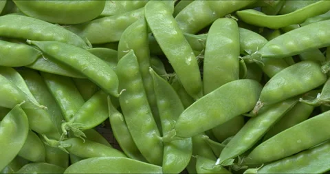 Close-up view of sugar snap peas. Background texture. Stock Footage 312330085