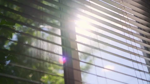 Close up view of Sun shining through window blinds close. Slow motion footage Vidéo 219342273