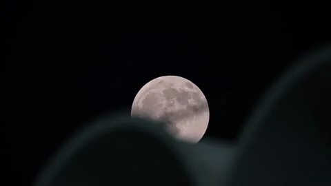 Close-up view of the Supermoon shining over the night sky in the GCC. Vidéo 317218003