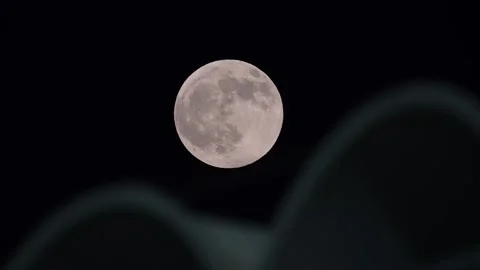 Close-up view of the Supermoon shining over the night sky in the GCC. Vidéo 317218008