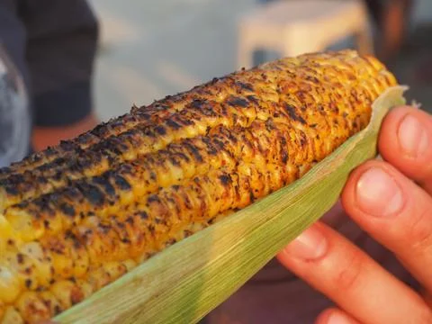 Close-up view of sweet corn baked on coals and sprinkled with spices. Stock Photos