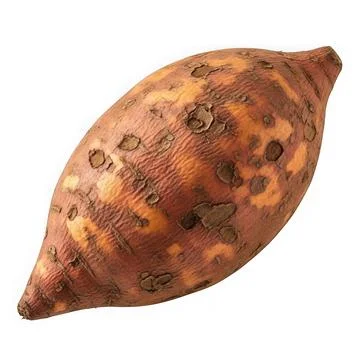 A close-up view of a sweet potato with a rough, textured skin and earthy br.. Illustrazione stock