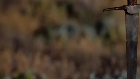 Close view of a sword with a rustic handle in a natural setting during daylight Vidéo 339504584