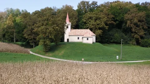 Close-up view of tall, dry corn plants in foreground with a small white church Видео 285772753