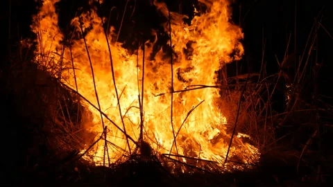 Close up view of a terrible dangerous wild fire at night in a field. Burning dry Stock Footage 104732619