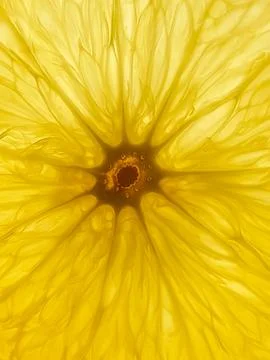Close-up view of the texture of a sliced orange fruit Stock Photos