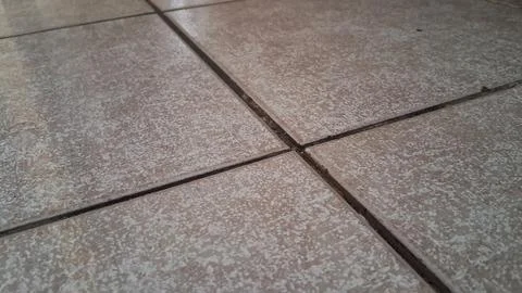 Close up view of textured beige ceramic square floor tiles 스톡 사진
