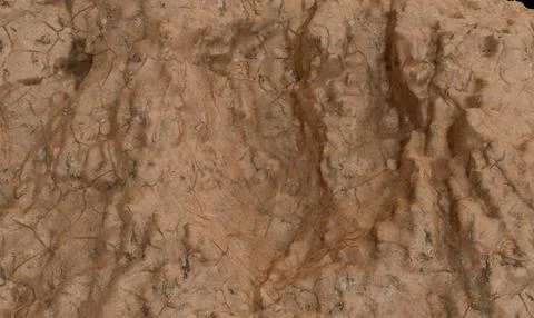 Close-up view of textured, light brown rock surface with intricate patterns Stock Photos