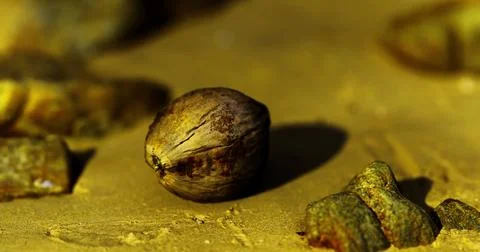 Close up view of a textured nut surrounded by colorful stones on yellow surfa イラスト素材