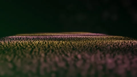 A close-up view of a textured, organic material surface that appears to be moss Stock Footage 340535033