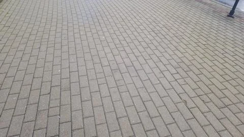 A close-up view of a textured pavement made of rectangular bricks, showcasing an 库存照片