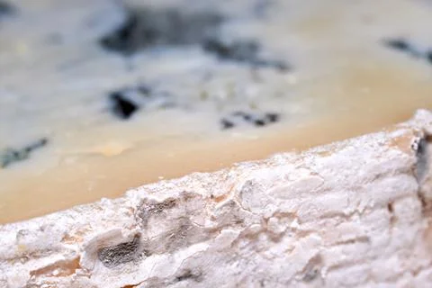 Close-up view of the textured rind and blue mold on gorgonzola cheese Stock Photos