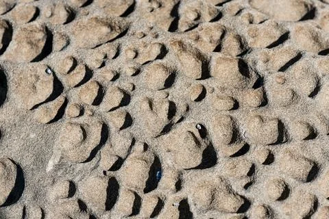 Close up view of textured rock with bumpy surface Stockfoto's
