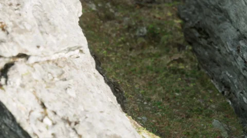 Close up view of textured rock surface in natural setting during daytime Stock Footage 348494412