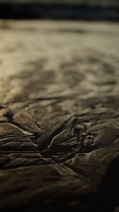Close-up view of textured sandy surface with intricate natural patterns and soft Video stock 310493580