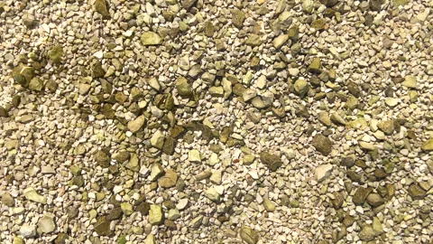 Close-up view of a textured surface in clear sea water Stock Footage 331605320