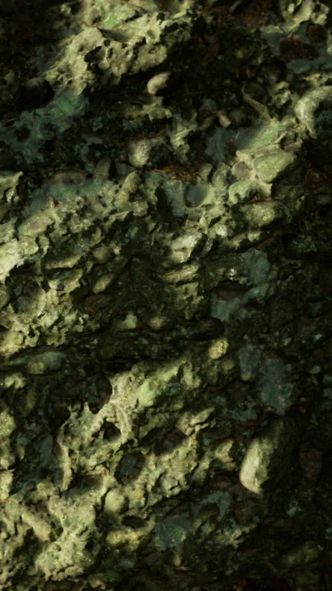 Close up view of a textured surface with green and dark tones in natural light Stock Footage 333566043