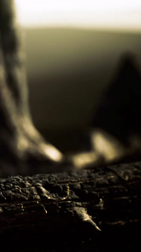 Close view of textured surface in natural setting during dim light Stock Footage 334261231