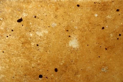 Close view of a textured surface showing brown tones and various spots in a warm Foto stock