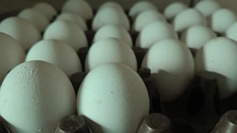 Close-up view of textured white eggs arranged in a commercial storage crate symb Stock Footage 342534592