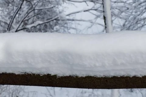 Close up view of a thick branch covered with snow in a winter landscape Stock Photos
