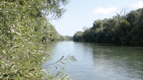A close-up view of thick tree branches extending over a clear, calm river. Stock Footage 285772040
