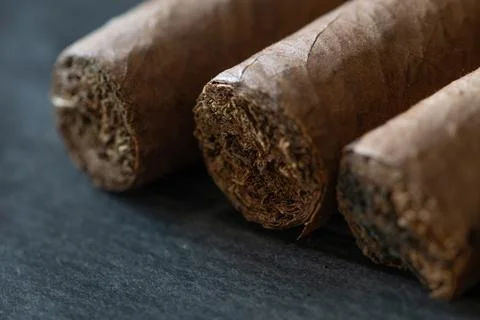 Close up view of three brown cigars with visible tobacco ends Stock Photos